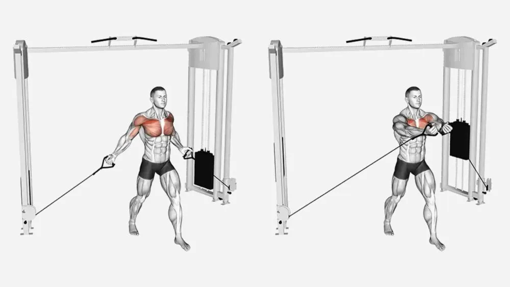 Reverse Pec Deck
