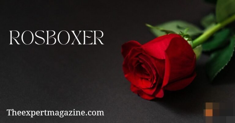 rosboxar