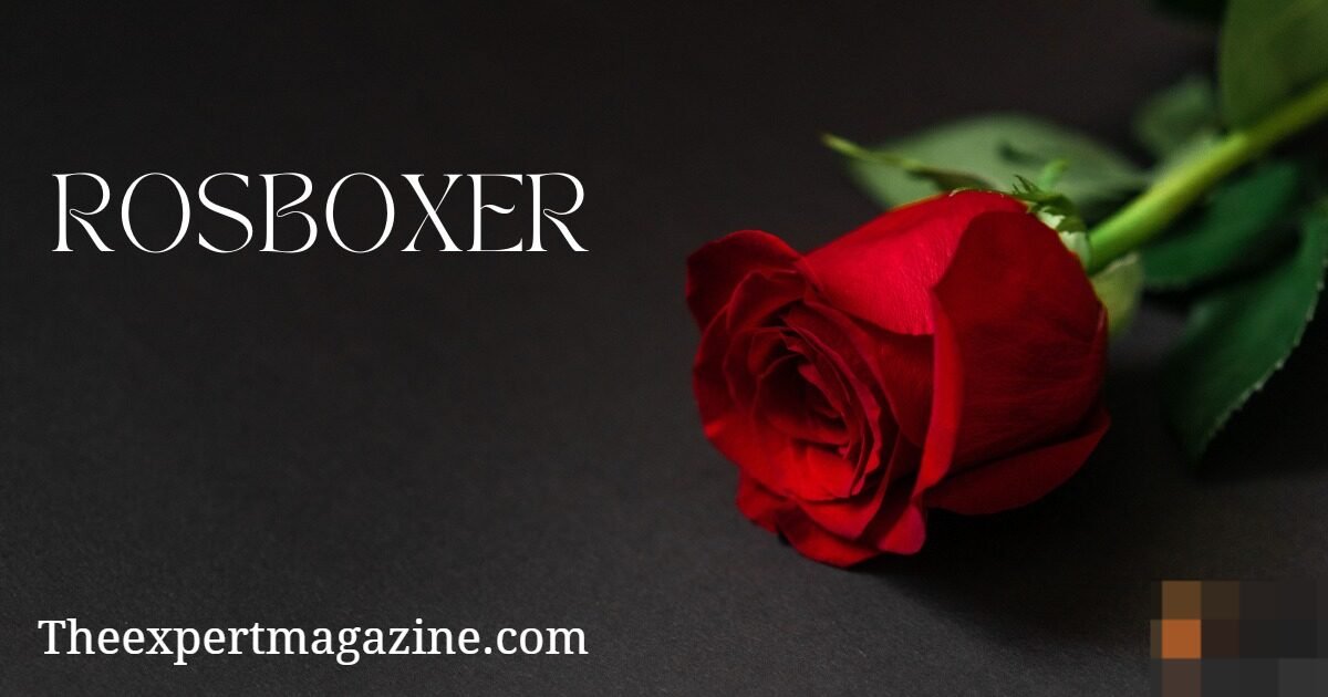 rosboxar