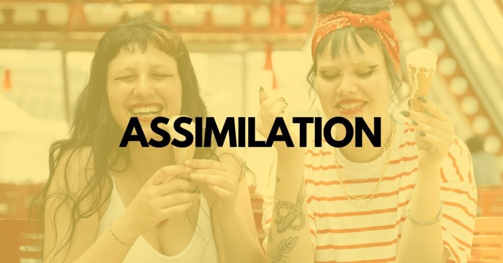 assimilasjon