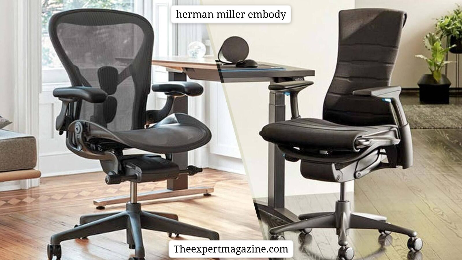 herman miller embody