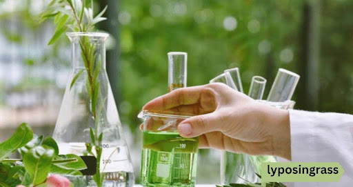 lyposingrass