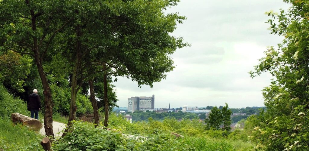 sheffield wildfire parkwood springs