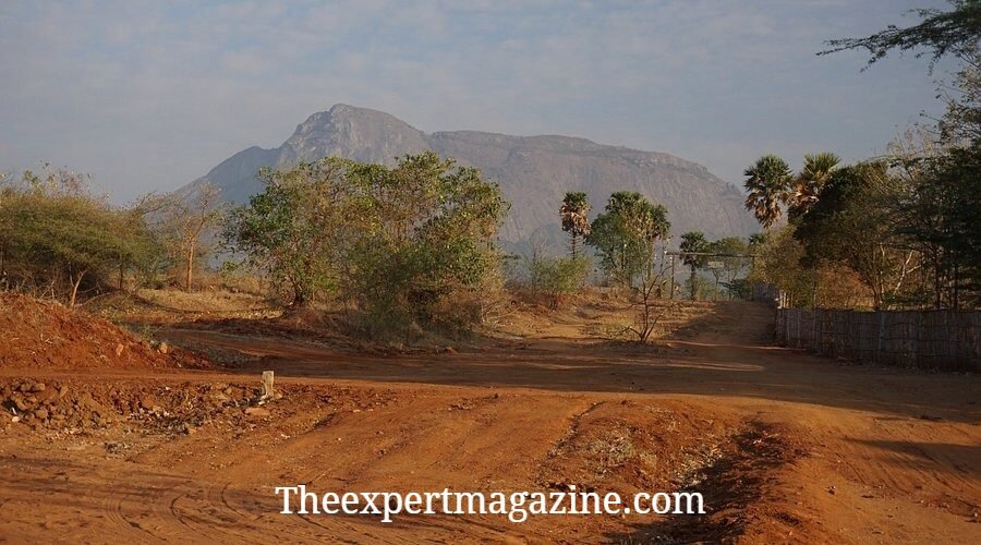 Vaidyagrama